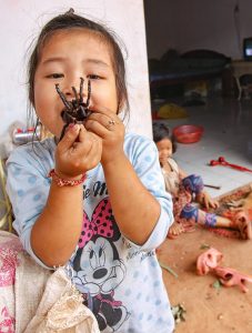 A three-year-old Sing eating a tarantula at Backstreet Academy's Fear Factor Challenge, in Siem Reap, Cambodia, photo by Ivan Kralj