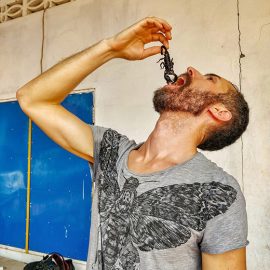 Pipeaway blogger Ivan Kralj holding a scorpion above his mouth at Backstreet Academy's Fear Factor Challenge in Siem Reap, Cambodia, the country where they love eating insects, photo by Kim Peou