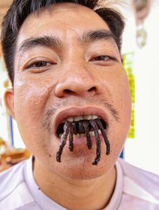 Tarantula's legs sticking out of the mouth of Ratana Ouch, the host of the Backstreet Academy's Fear Factor Challenge in Siem Reap, Cambodia, the country where they love eating insects, photo by Ivan Kralj