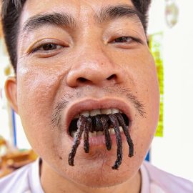 Tarantula's legs sticking out of the mouth of Ratana Ouch, the host of the Backstreet Academy's Fear Factor Challenge in Siem Reap, Cambodia, the country where they love eating insects, photo by Ivan Kralj