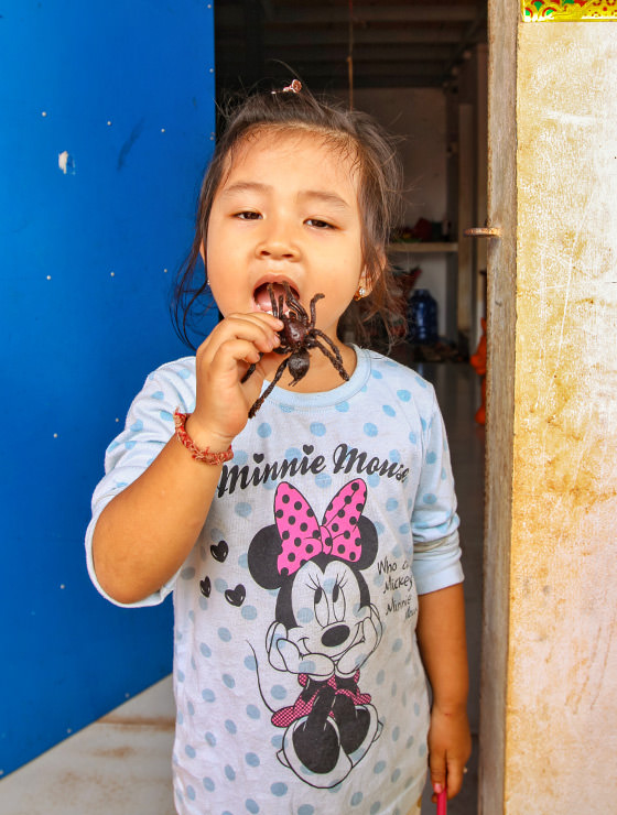 A three-year-old Sing eating a tarantula at Backstreet Academy's Fear Factor Challenge, in Siem Reap, Cambodia, photo by Ivan Kralj