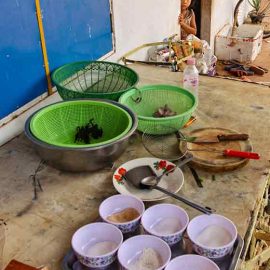Ingredients needed for today's meal at Backstreet Academy's Fear Factor Challenge cooking class in Siem Reap, Cambodia, a country where they love eating insects, photo by Ivan Kralj