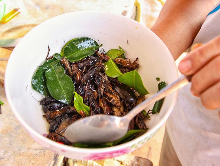 Seasoning the crickets at Backstreet Academy's Fear Factor Challenge cooking class in Siem Reap, Cambodia, a country where they love eating insects, photo by Ivan Kralj
