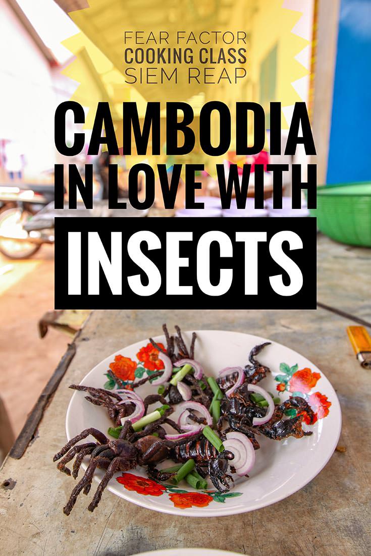 After the dark period of Khmer Rouge regime, Cambodians developed an unusual taste for insect cuisine. Fear Factor Challenge in Siem Reap enables you to learn how to prepare and then also eat crickets, tarantulas, scorpions and other crawling food. Do you have what it takes to develop the love for eating bugs?