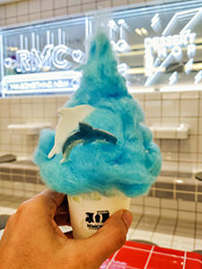 Dolphin Bomb dessert, vanilla soft ice-cream topped with blue cotton candy and two decorative dolphins, in Remicone dessert shop in Seoul, South Korea, photo by Ivan Kralj