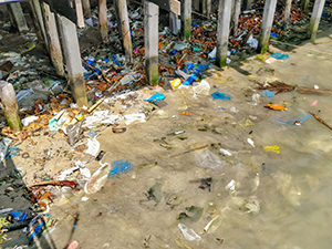 Plastic bags and other plastic waste under the pier in Ban Phe, the departure point to the no-plastic island Koh Samet, a sad example of plastic pollution in Thailand, photo by Ivan Kralj