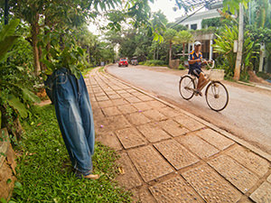 A local many riding a bicycle next to the trees growing in the jeans across the road of Jaya House RiverPark, a plastic-free hotel in Siem Reap, Cambodia, photo by Ivan Kralj