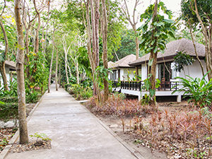 Bungalows at Mooban Talay Resort on Koh Samet island, Thailand, are surrounded by lush tropical vegetation, and trees grow on pathways or on the terraces, photo by Ivan Kralj