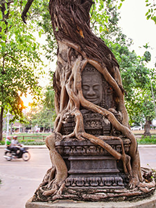 Tree roots wrapping the Khmer sculpture in front of the Treeline Urban Resort, an eco-friendly luxury hotel in Siem Reap, Cambodia, photo by Ivan Kralj