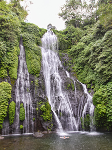 Banyumala twin waterfalls surrounded by greenery, in Northern Bali, Indonesia, photo by Ivan Kralj