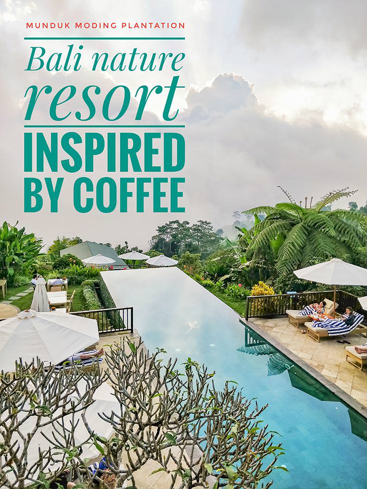 Munduk Moding Plantation is the only Bali resort set on the working coffee plantation. Besides satisfying your taste buds, this nature resort also provides one of the most spectacular infinity pools in the world. Read the full hotel review before booking your amazing Bali holidays!