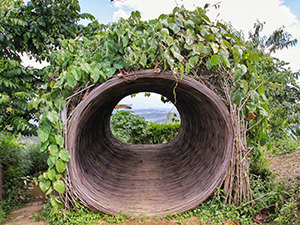 Wattle forming a tunnel as an Instagram photo opportunity point for the visitors of Munduk Moding Plantation, the only Bali resort set on the working coffee plantation, photo by Ivan Kralj