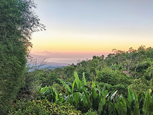 Views of the Northern Bali over the jungle landscape at Munduk Moding Plantation, and to Javan Sea and Javan volcanoes, Indonesia, photo by Ivan Kralj