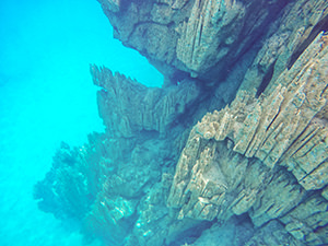 Underwater mountains of Barracuda Lake, on Coron Island, Palawan, Philippines, photo by Ivan Kralj