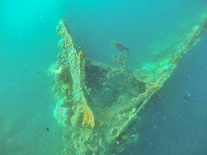 Skeleton Wreck, Japanese shipwreck from the Second World War, one of the wreck diving locations on Coron Island Tour, Palawan, Philippines, photo by Roland JY Travel and Tours