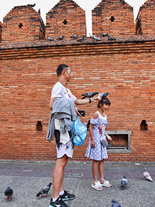 Pigeons standing on girl's head, while her father feeds them, in front of the red-brick wall of Tha Phae Gate in Chiang Mai, Thailand, photo by Ivan Kralj