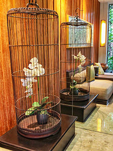 Orchid flower in a cage in the lobby of The Amala, one of the best hotels in Bali, photo by Ivan Kralj