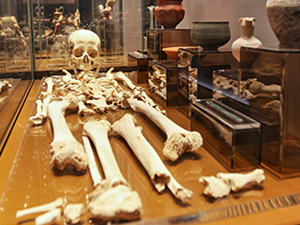 Skeleton from St. Paul's Catacombs in Rabat, Malta, photo by Ivan Kralj
