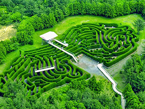 Gimnyeong Maze Park in the shape of Jeju Island, South Korea, photo by Ivan Kralj