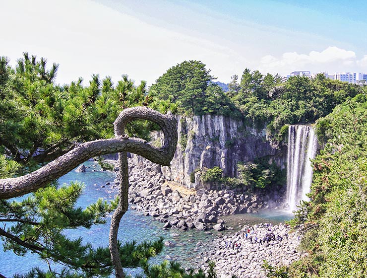 Jeju Island Attractions: The Korean Island of Love and Lava - Pipeaway