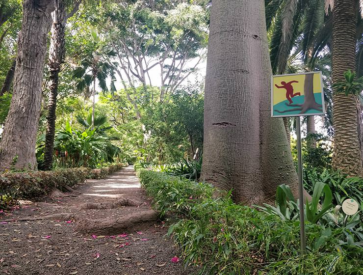 Botanical Garden Tenerife in Puerto de la Cruz, Spain, photo by Ivan Kralj