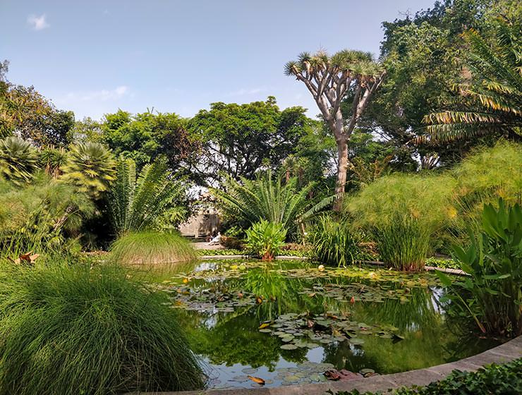 Botanical Garden Tenerife The Garden of Eden in Puerto de la Cruz Botanical Garden Tenerife The Garden of Eden in Puerto de la Cruz