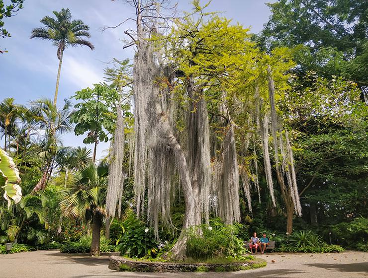 Botanical Garden Tenerife in Puerto de la Cruz, Spain, photo by Ivan Kralj