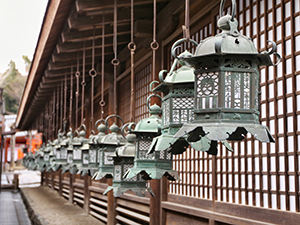 Bronze lanterns hanging in Kasuga-taisha shrine in Nara Park, Japan, photo by Ivan Kralj