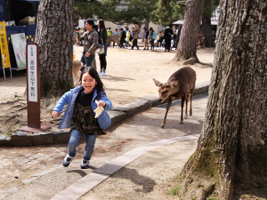 A little girl with a toast running away in panic from a hungry deer in Nara Deer Park, Japan, photo by Ivan Kralj
