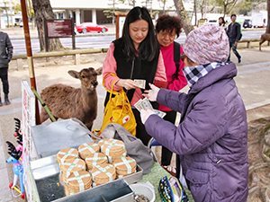 Women purchasing Shika Senbei, the deer crackers, from the local vendor, while a deer is standing in the queue, waiting to be fed, in Nara Deer Park, Japan, photo by Ivan Kralj