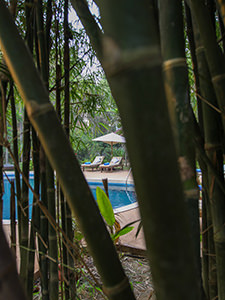 Sun loungers by the swimming pool, as seen through the tropical vegetation at Sojourn Boutique Villas in Siem Reap, Cambodia