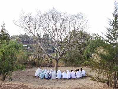 Palmers praying together while sitting around the tree at Bete Giyorgis, Lalibela church, Ethiopia. Photo by Ivan Kralj