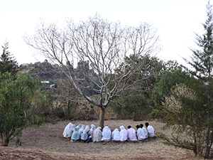 Palmers praying together while sitting around the tree at Bete Giyorgis, Lalibela church, Ethiopia. Photo by Ivan Kralj