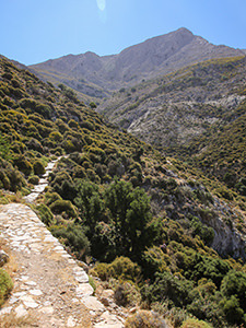 The start of the hiking trail to Zeus Cave on Mount Zas, Naxos, Greece, photo by Ivan Kralj