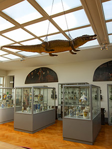 Stuffed crocodile hanging from the ceiling of the Pharmacy Museum, one of the best museums in Basel, Switzerland, photo by Ivan Kralj