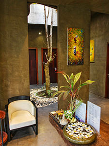 Tree growing inside the Infinity Spa at Sakmut Boutique Hotel, Siem Reap, Cambodia, photo by Ivan Kralj