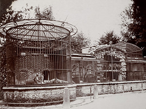 The first lions' enclosure in Basel Zoo, Switzerland, 1890s, copyright Basel Zoo