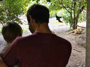 Father and a child observe the lioness behind the glass at Basel Zoo, Switzerland, photo by Ivan Kralj