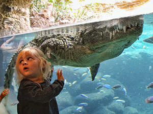 The amazed little girl touching the aquarium with Nile crocodile at Basel Zoo, Switzerland, photo by Ivan Kralj