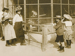 People looking at caged monkeys at Basel Zoo, Switzerland, old photo, copyright Basel Zoo
