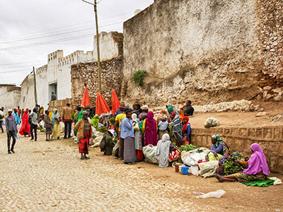 People selling a stimulant plant called chat, near Fallana Gate, just before the Harar walls in Ethiopia, photo by Ivan Kralj