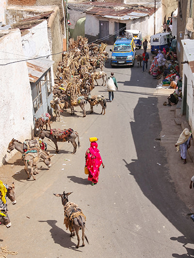 Muslim woman in bright pink dress carrying water canister on her head down the street in Harar full of donkeys, Ethiopia, photo by Ivan Kralj