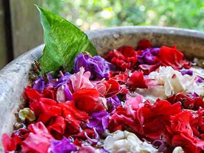 Bowl of water filled with flowers, acting as drinking site for bees and insects at The Menjangan Resort, Bali, Indonesia, photo by Ivan Kralj