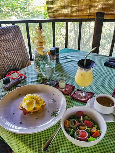 Poached egg and salad for breakfast, served with fork, knife and a sling with stones for "protection" against monkeys at Bali Tower restuaruant in The Menjangan Resort, Bali, Indonesia, photo by Ivan Kralj