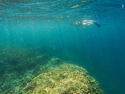 A man snorkeling in Bajul Bay, West Bali National Park, Indonesia, photo by Ivan Kralj