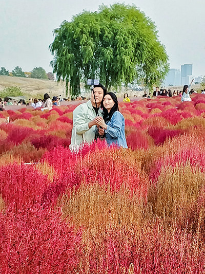 Couple taking a selfie in Haneul Park in Seoul, South Korea, photo by Ivan Kralj