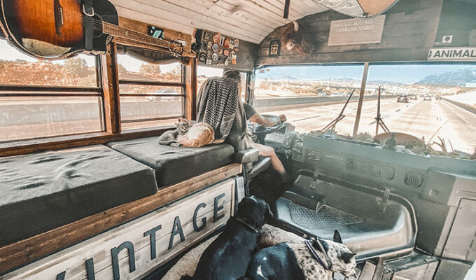 Jessica Rambo, American Marine Corps veteran and artist, driving her tiny house on wheels, a converted school bus, with dogs and cat resting