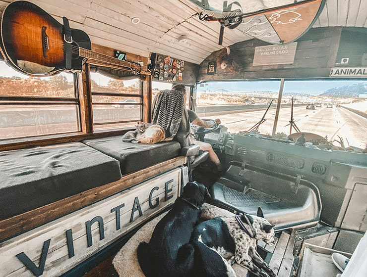 Jessica Rambo, American Marine Corps veteran and artist, driving her tiny house on wheels, a converted school bus, with dogs and cat resting