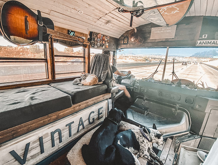 Jessica Rambo, American Marine Corps veteran and artist, driving her tiny house on wheels, a converted school bus, with dogs and cat resting