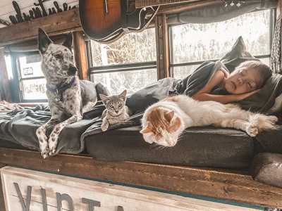 Liam Rambo (10), taking a nap next to his cats and dog in the tiny house on wheels, a converted school bus Painted Buffalo Traveling Studio